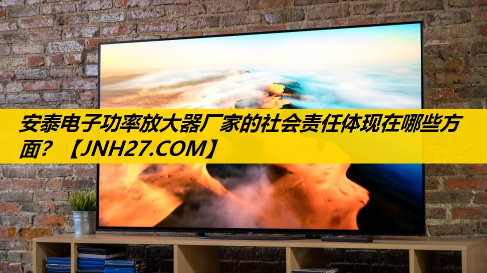 安泰电子功率放大器厂家的社会责任体现在哪些方面？