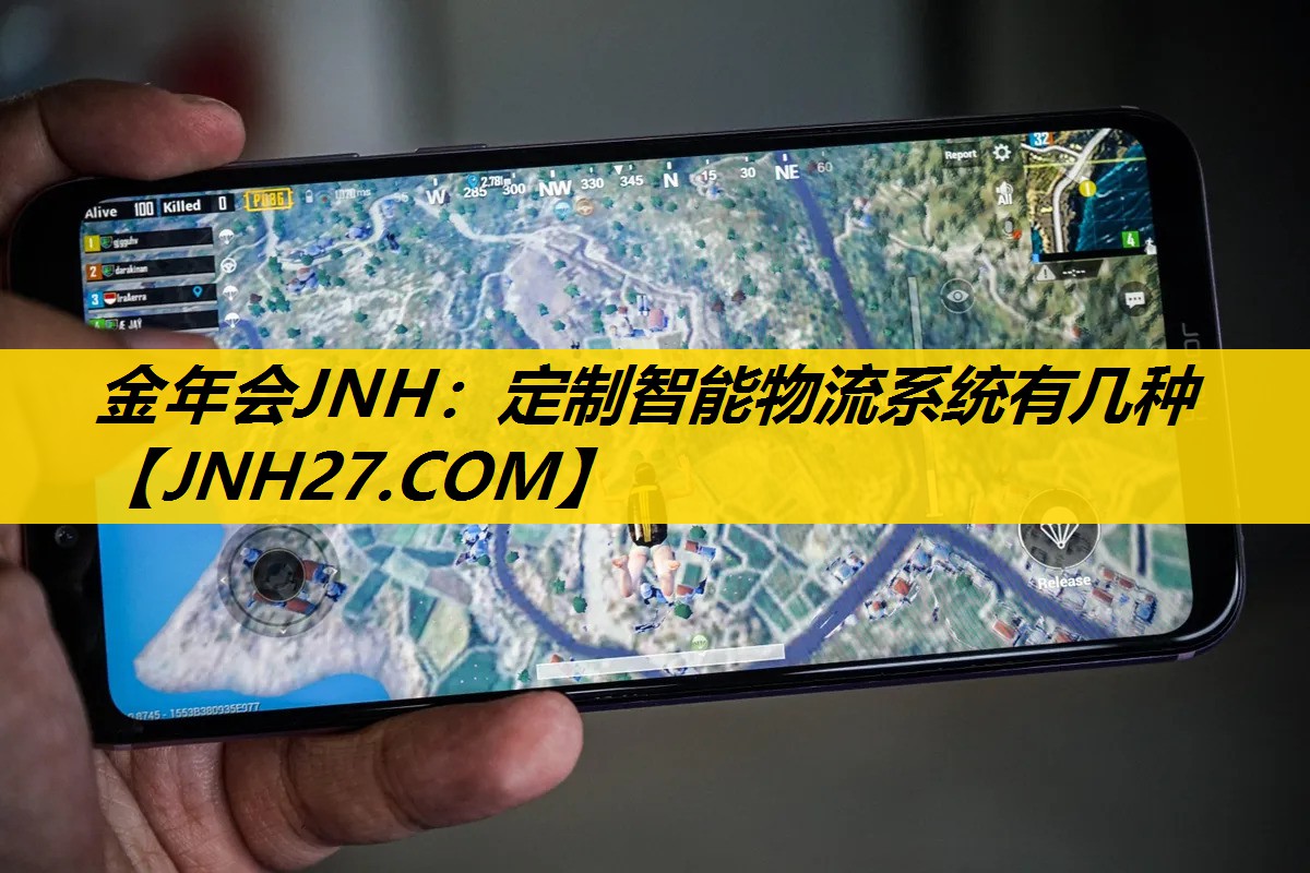 定制智能物流系统有几种 定制智能物流系统有几种