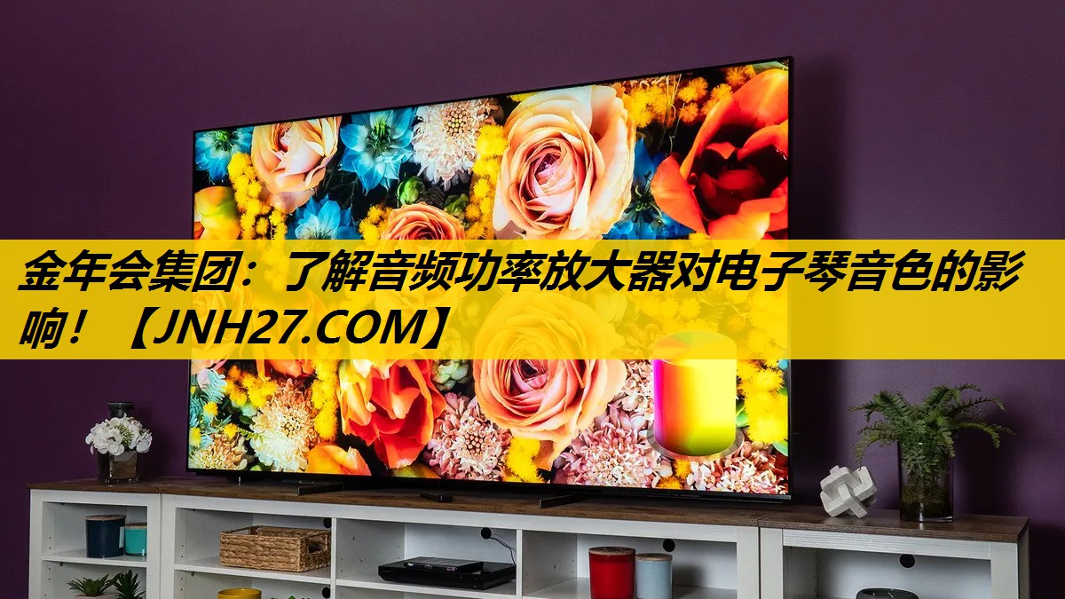 了解音频功率放大器对电子琴音色的影响! 了解音频功率放大器对电子琴音色的影响!