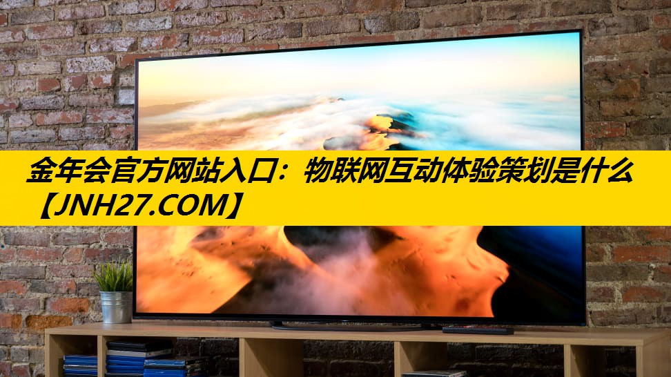 物联网互动体验策划是什么