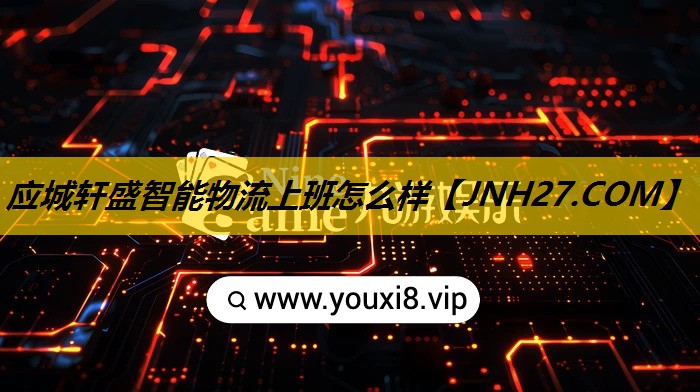 应城轩盛智能物流上班怎么样 应城轩盛智能物流上班怎么样