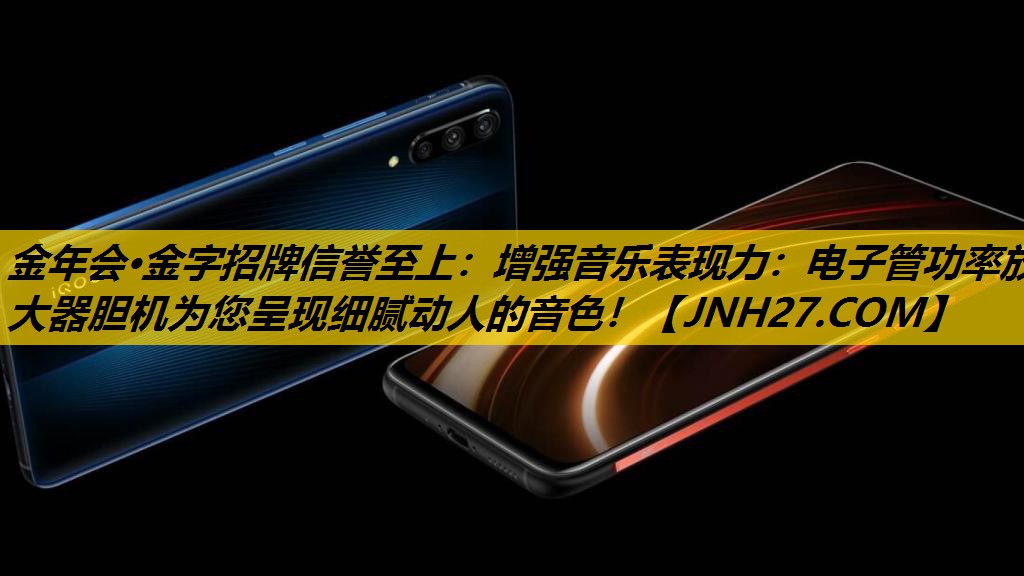 增强音乐表现力：电子管功率放大器胆机为您呈现细腻动人的音色！