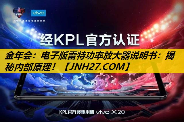电子版雷特功率放大器说明书：揭秘内部原理！